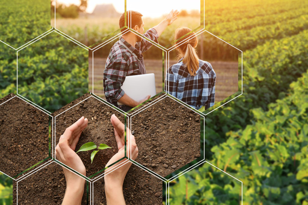 Empowering Agriculture Through Digital Transformation